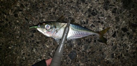 二日前と全然違う