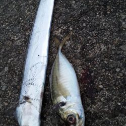 朝は明るくなってから