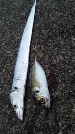 朝は明るくなってから