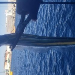 川崎つり幸　初!船太刀魚!