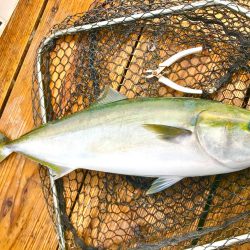 のんびり海上釣り堀❗️