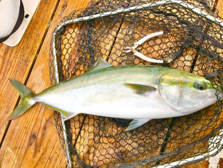 のんびり海上釣り堀❗️