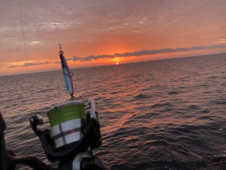 まだまだ青物！