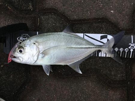 またメッキ！！