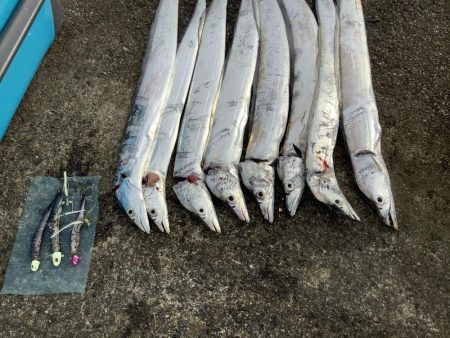 まだまだ居残りタチウオ