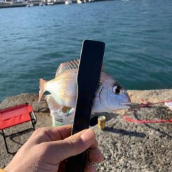 今年ラストの紀州釣り