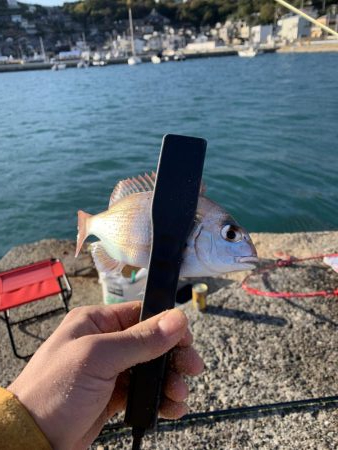 今年ラストの紀州釣り