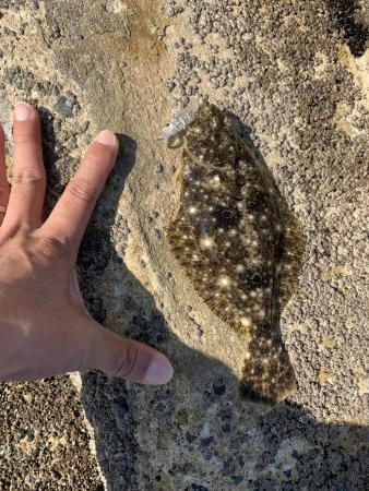 昼休憩に少しだけ