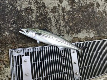 人はいましたがわたしだけ…