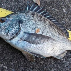 ボウズ脱出　~ささなみ公園~