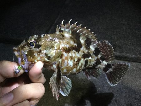 癒しのライトロック