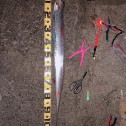 ドラゴン記録更新