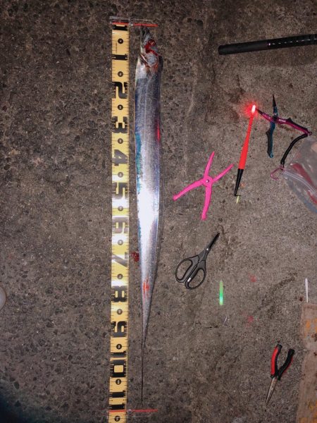 ドラゴン記録更新