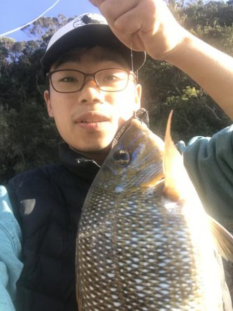 やっと会えたな！タマン！