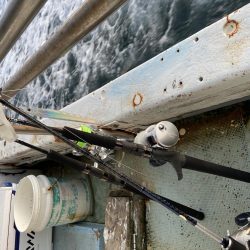 年末最後のジギング