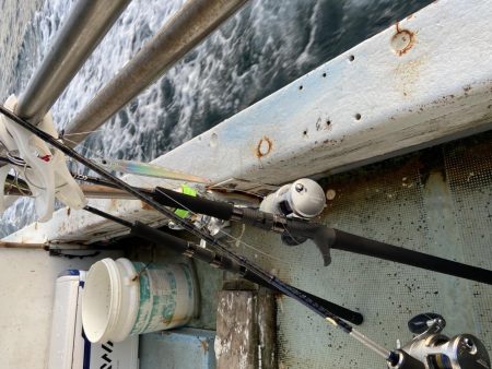 年末最後のジギング