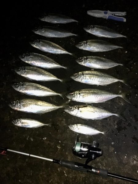 長潮鯵フェスタ開催！