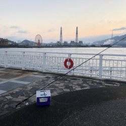 ヒラメ(ソゲ)覚醒