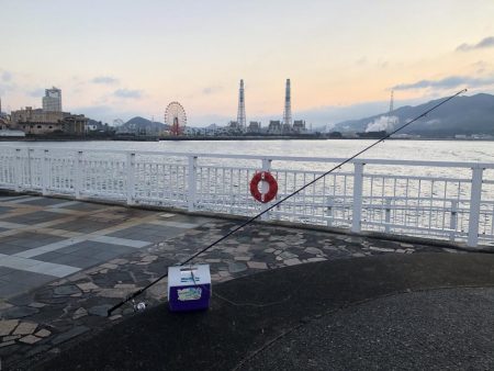 ヒラメ(ソゲ)覚醒