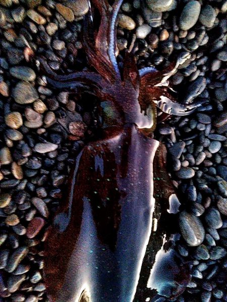 今日は、当たりが多かったです！！