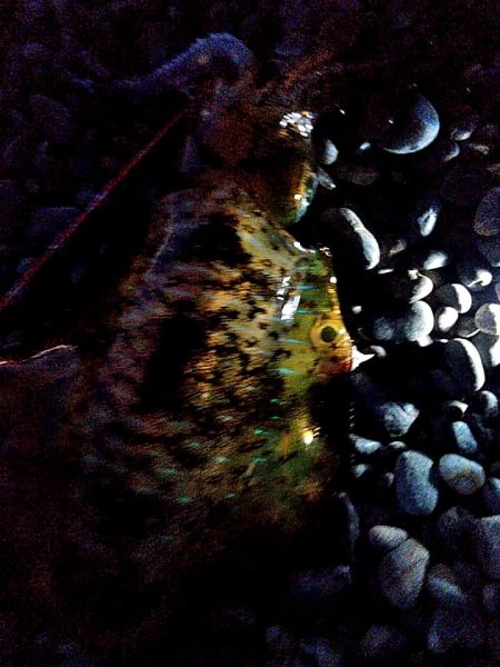 まだまだ小さいようです!!