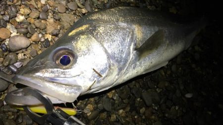 ハイシーズンを逃しての紀ノ川へ