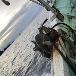 大船渡市越喜来湾での鰈釣り