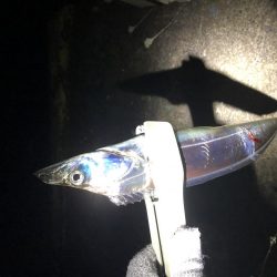 ちょっと寄り道