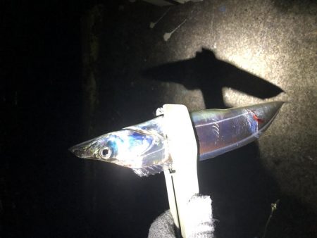 ちょっと寄り道