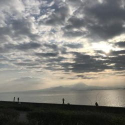 サゴシ釣れてますよ~