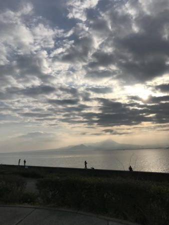 サゴシ釣れてますよ~