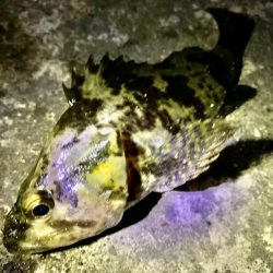 風に邪魔された