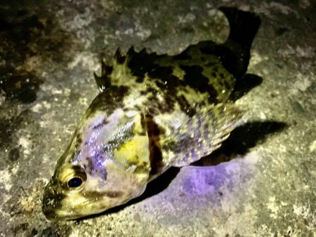 風に邪魔された