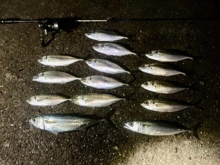 年末調整２日目！