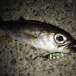 ライトゲームでムツ！