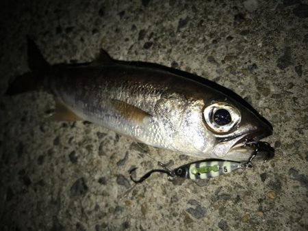 ライトゲームでムツ！