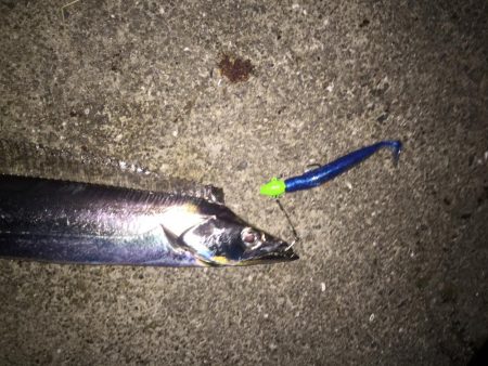 タチウオ昇竜拳