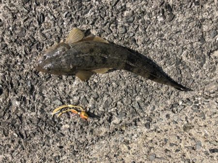 ショアタイラバ