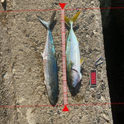 メリクリ&釣り納め(仮)