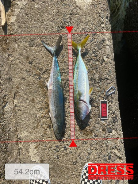 メリクリ&釣り納め(仮)