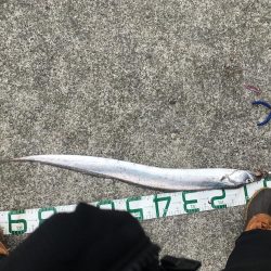 出た！ドラゴン！