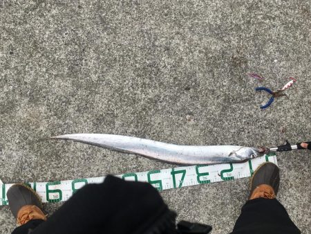 出た！ドラゴン！