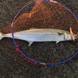 この時期にしては素晴らしい