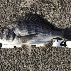 イチノ兄弟、釣果！