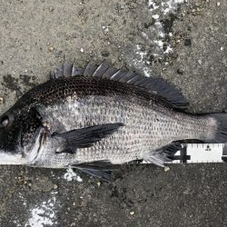 イチノ兄弟、釣果！