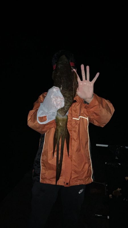 過去一のアオリイカ