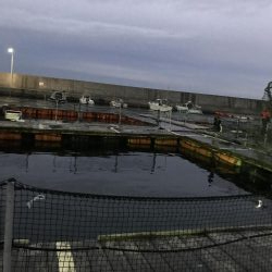 冬はやっぱり釣り堀⁉︎