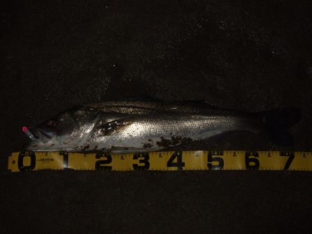 秋のハイシーズンは終了