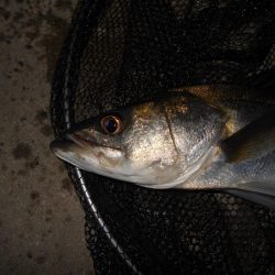 開始早々から連続ヒット♪