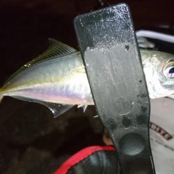 そろそろ終わり？